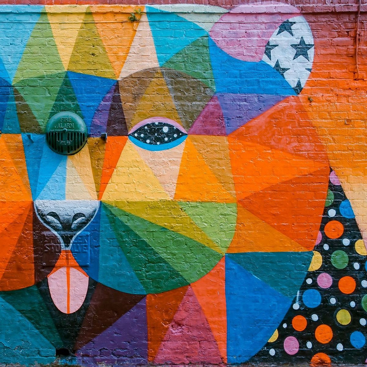 toa-heftiba-417510-unsplash